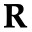 The Rug Company